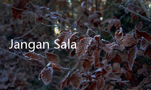 Jangan Salah Pilih, Ini 6 Rekomendasi Saus Salad Sehat di Supermarket